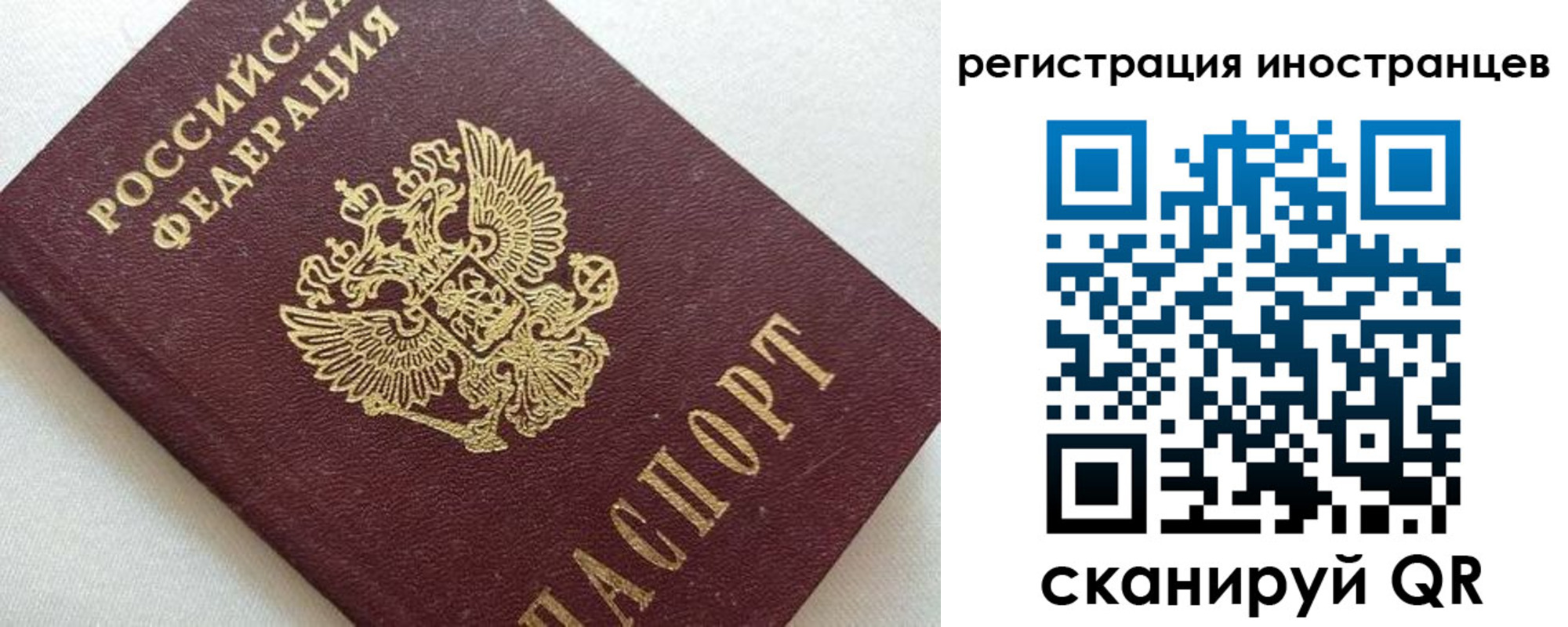 прописка в Ростовской области